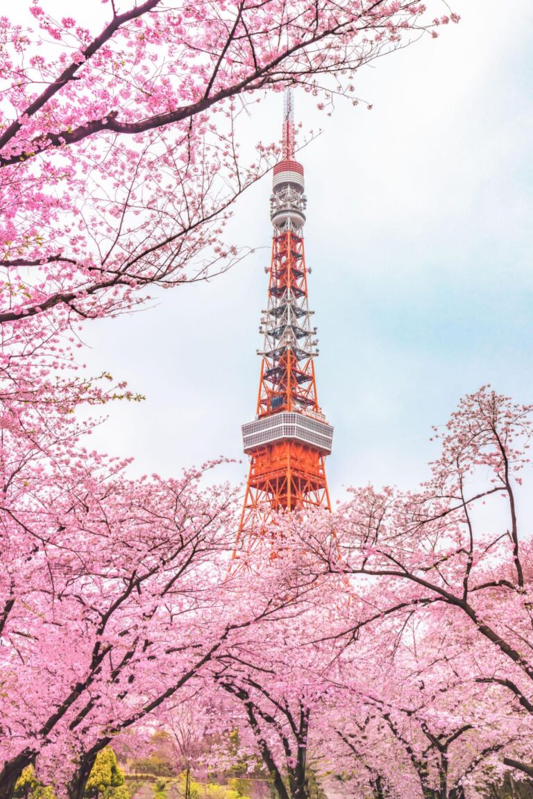 Ultimate Japan Travel Guide (2026): Best Places, Budget, Itinerary & Tips